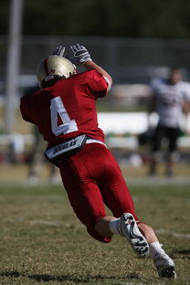 米兰电竞-中超球队赛前战术布置与实战还原度评估，中超比赛分析